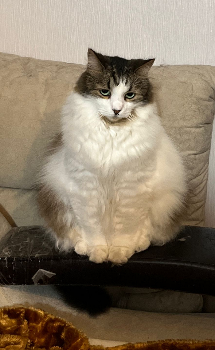 А Машке-мадаме пофиг...