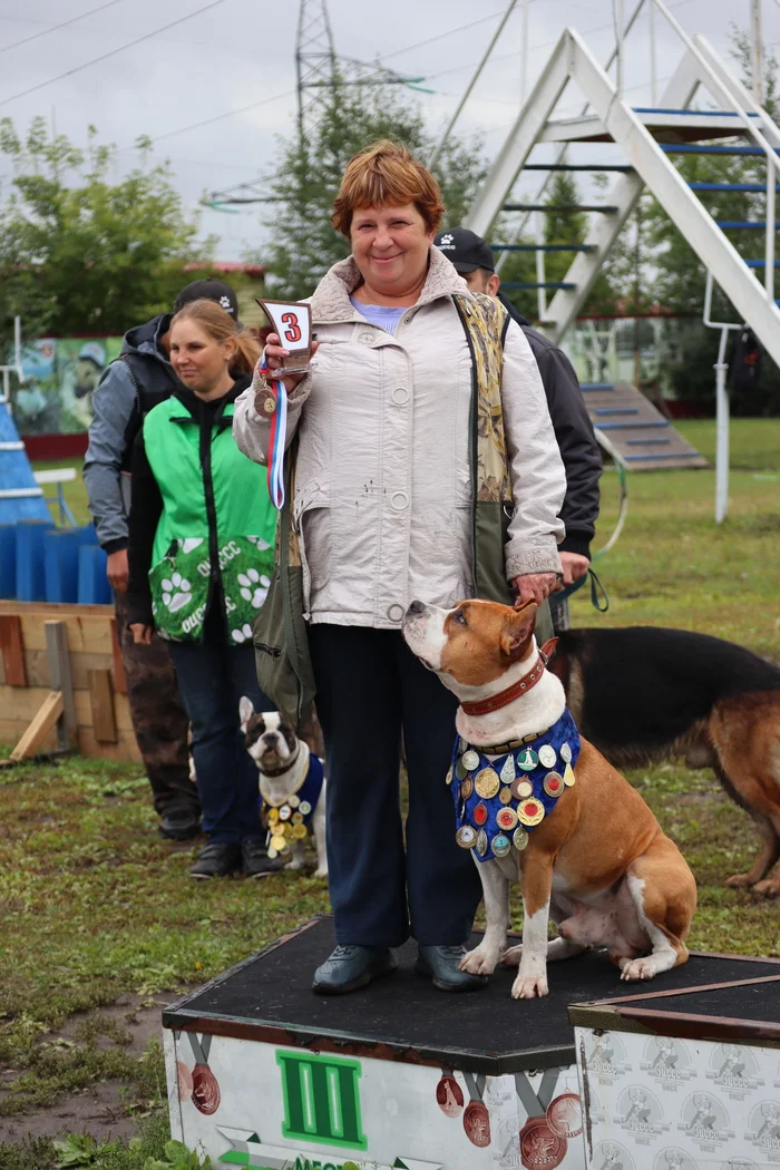 Dog training in Omsk - OCSSSS. OKD award! - Dog, Dog lovers, Puppies, Omsk, Training, Г“Г±Г±Г±, Amstaff, French Bulldog, German Shepherd, Malinois, Miniature schnauzer, Longpost