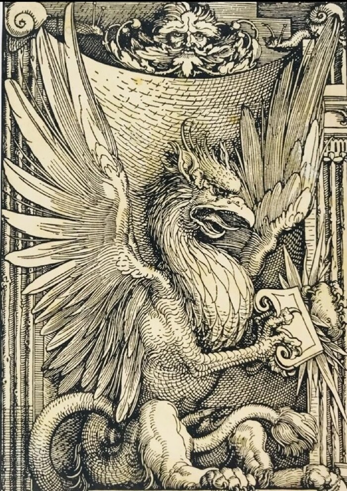 Albrecht D&#xFC;rer (1471 - 1528)  Grifone con acciarino, 1515-1517.