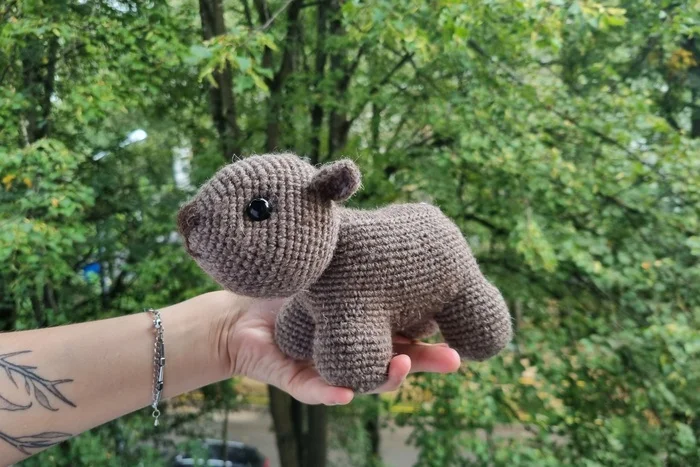 Knitted Wombat - My, Knitting, Amigurumi, Handmade, Needlework without process, With your own hands, Crochet, Yarn, Creation, People, Fair, Wombats, Presents, Author's toy, Toys, Soft toy, Longpost