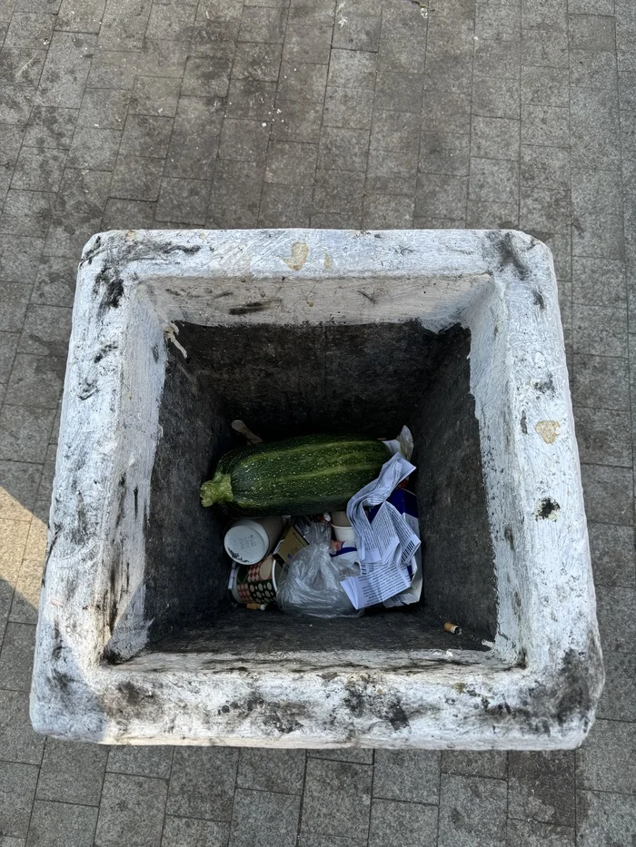 When the season just won't end - My, Zucchini, Saint Petersburg, Summer, Season, Garden, Urn, Street photography