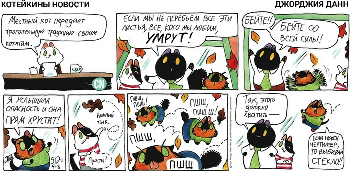 Koteikiny News from 09/08/2024 - My, Translation, Koteikin news (comic), Comics, cat