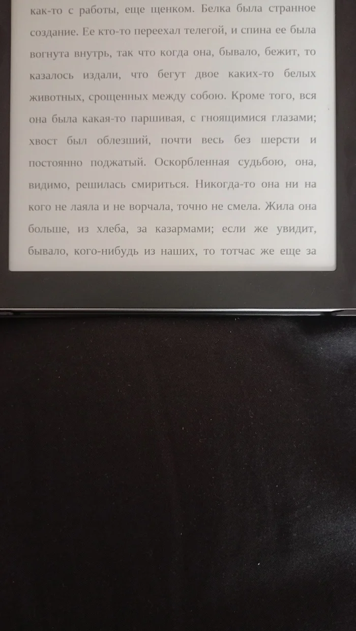 Notes from the House of the Dead - My, Fedor Dostoevsky, Thoughts, Opinion, Philosophy, Person, Humanity, Humanity, Morality, Animals, Longpost