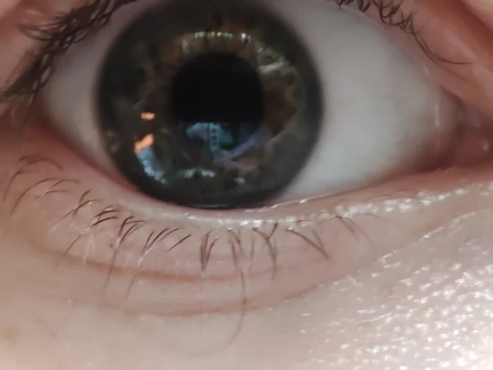 Tell me what color eyes this is - My, Question, Ask Peekaboo, Eye color without lenses