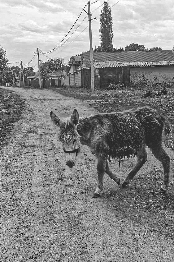 Дорожные заметки - часть 5 - Уличная фотография, Фотография, Чёрно-Белая, Длиннопост