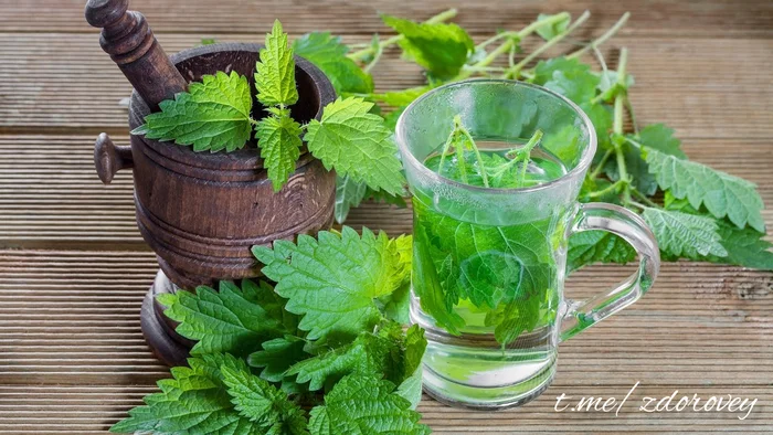 Nettle decoction helps lower blood sugar! - Nutrition, Healthy lifestyle, Proper nutrition, Health, Sports Tips, Diet, Salad, Gym, Dinner, Slimming, Ingredients, Тренер, Excess weight, Dinner, Breakfast, Snack, Recipe, Video recipe, Dessert, Exercises, Telegram (link)