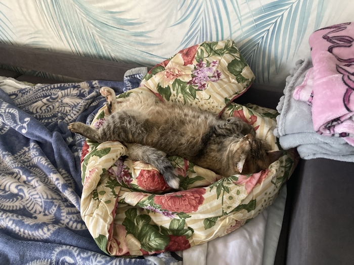 Свила себе гнездышко