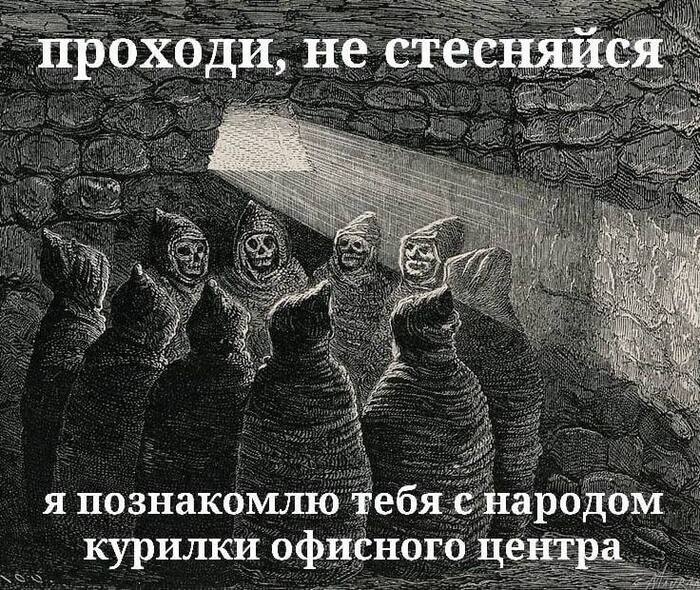  ,   , , ,  , Telegram ()
