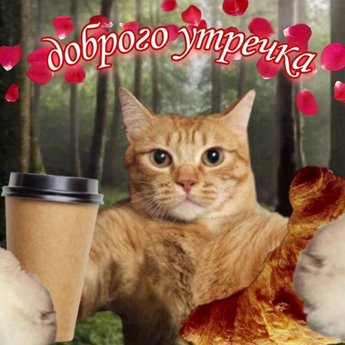  ! ,  , 