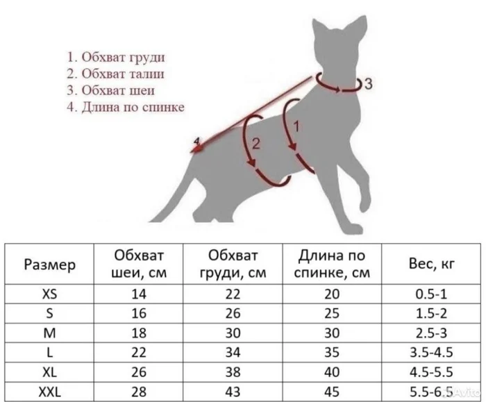 Useful measurement diagrams - cat, Dog, Measurements, Scheme, Needlework, Clothes for animals, Fluffy, Knitting, Handmade, Pets