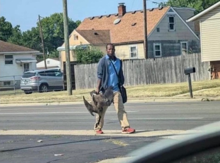  -. /         ,  ,         .