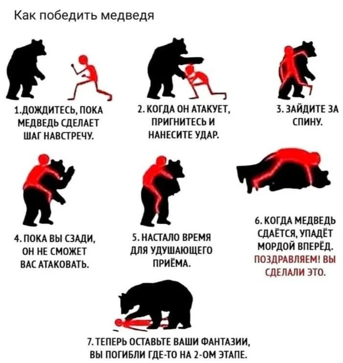 How to defeat a bear - Humor, The Bears, Images