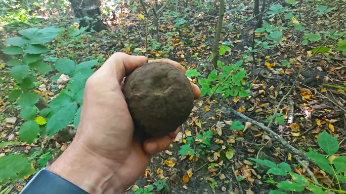 Пушечное ядро или чего интересного можно найди в заброшенной деревне - Моё, Находка, Поиск, Заброшенное, Длиннопост