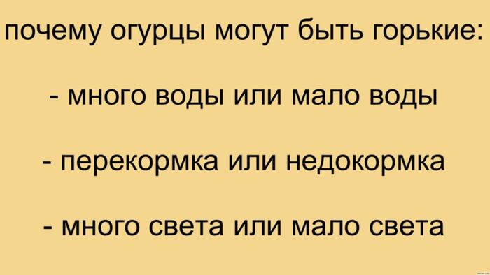  //,     , , , , Telegram ()