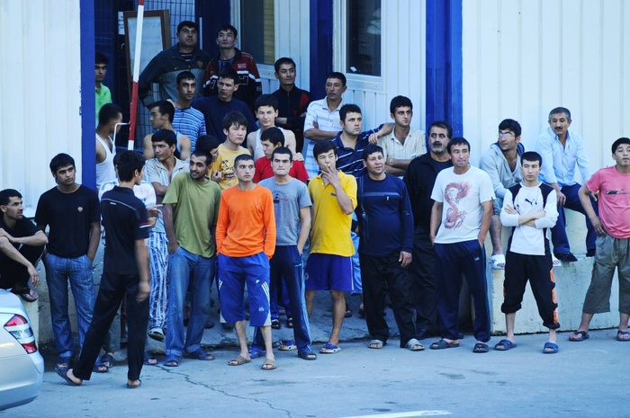 35% мигрантов заявили, что не желают жить по законам России