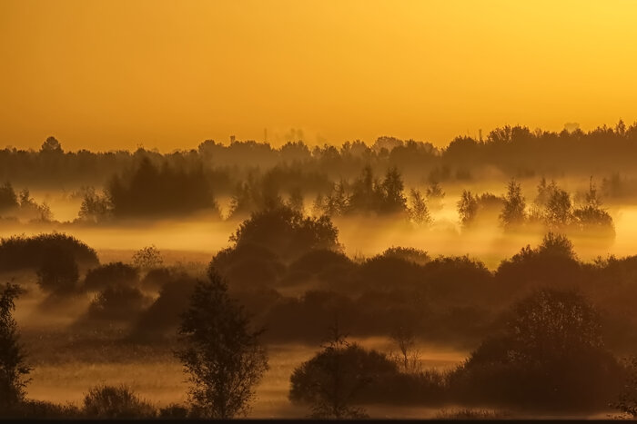 Петербургские восходы.... сентябрь