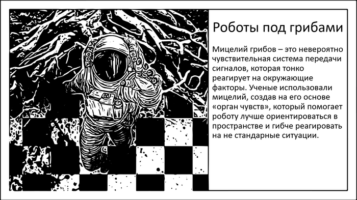   .       , , , , , , , 