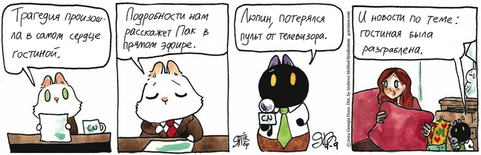 Котейкины Новости от 09.09.2024