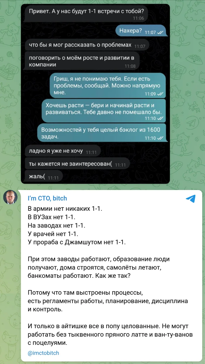 Ван-ту-ваны не нужны - Моё, I`m CTO bitch, IT юмор, Скриншот, IT, Разработка, Руководитель, Нецензурщина, Карьерный рост, Эффективный менеджер