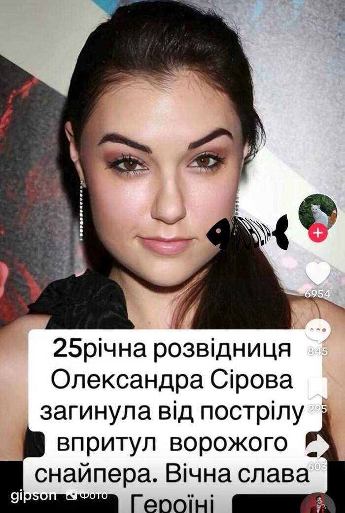 !    ... ,  ,   , Telegram, , ,  