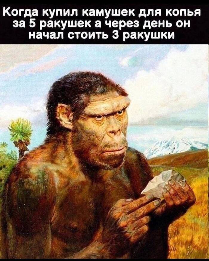  ,   , , , Telegram (),  