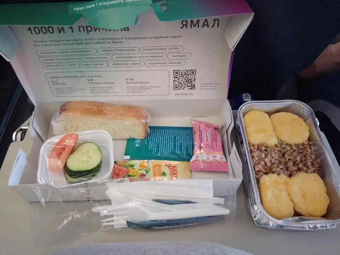 Standard lunch on board Yamal Airlines - My, Airline, Yamal, Nutrition, Flight, Airplane, Travels, Longpost, On-board power supply