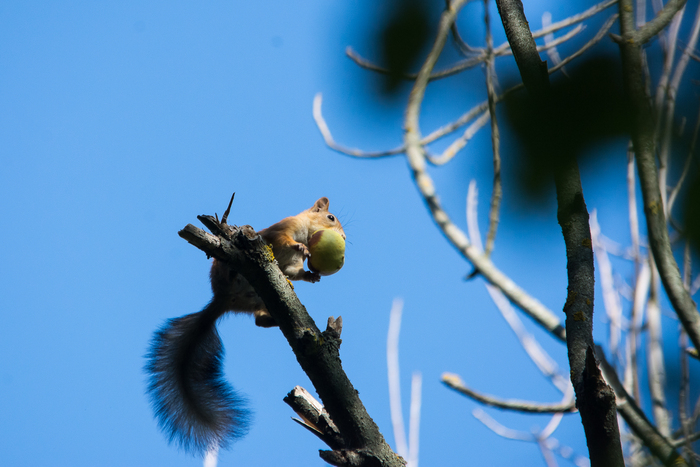 ����� � ������