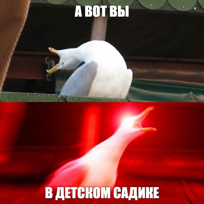 ����� �� ���� ��� �������� ����� ������ ���� �� ����