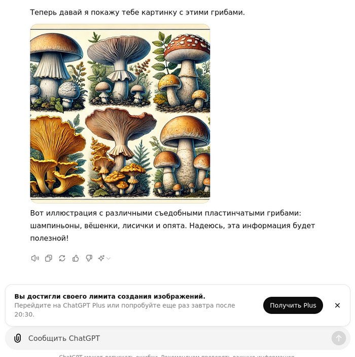     ? ChatGPT,  , ,  , ,  , 