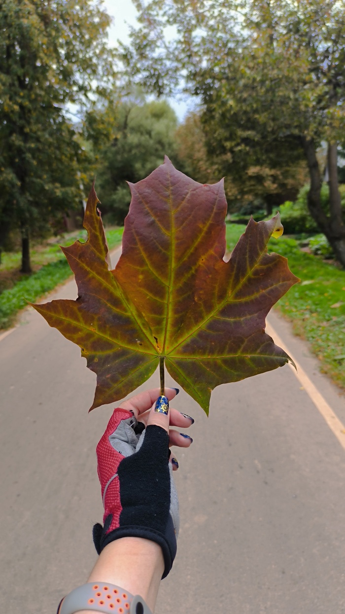 ��� � �����