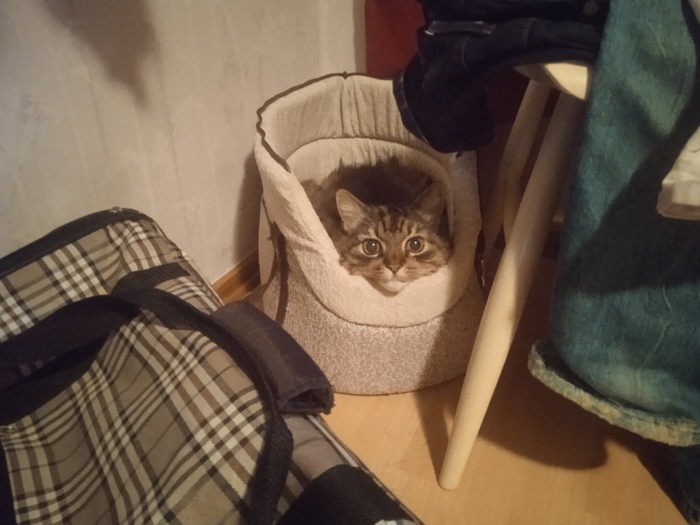      , , , , , 