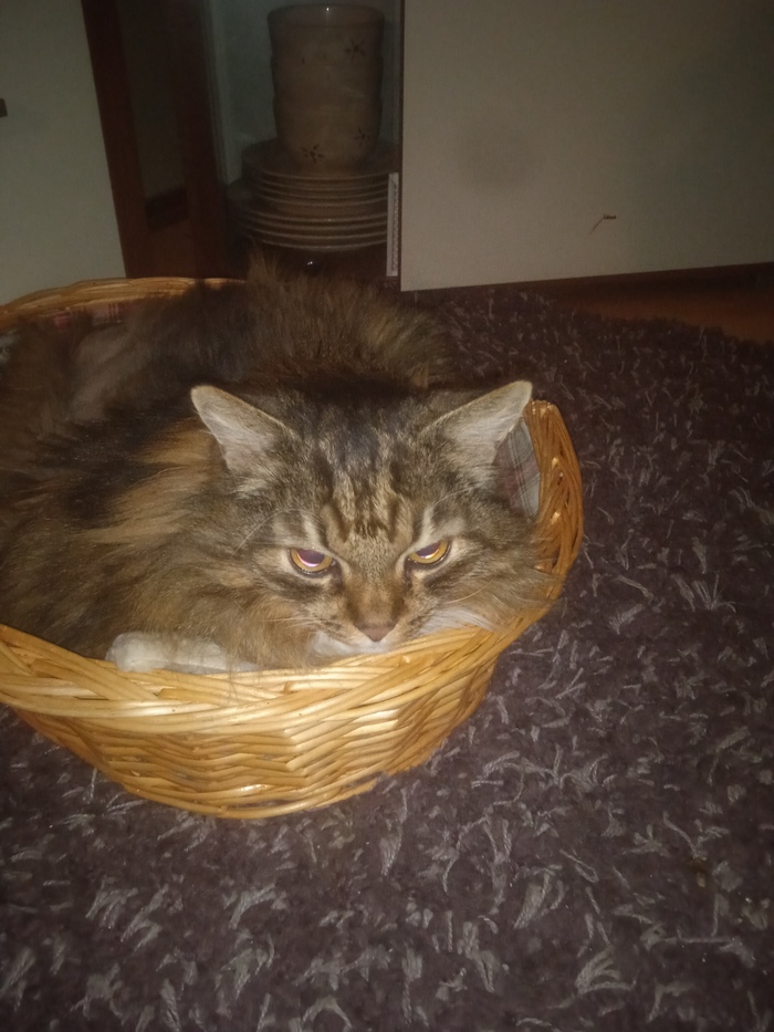 Последнее фото у меня.