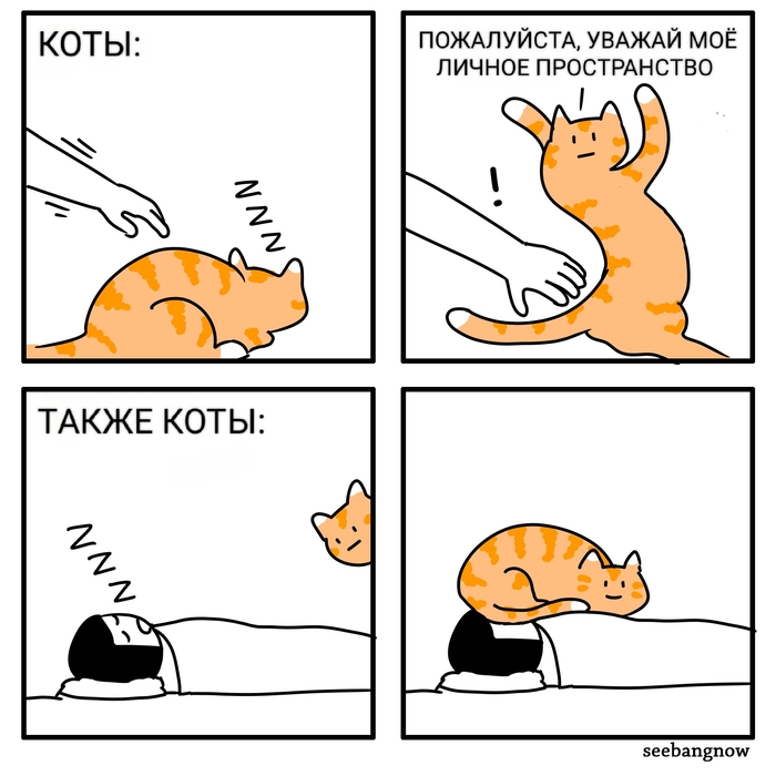 Личное пространство