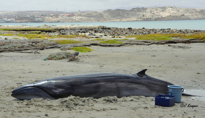 Пляж красивый, ситуация не очень.