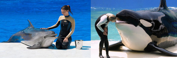 ������� � ������� ����� � ���������.