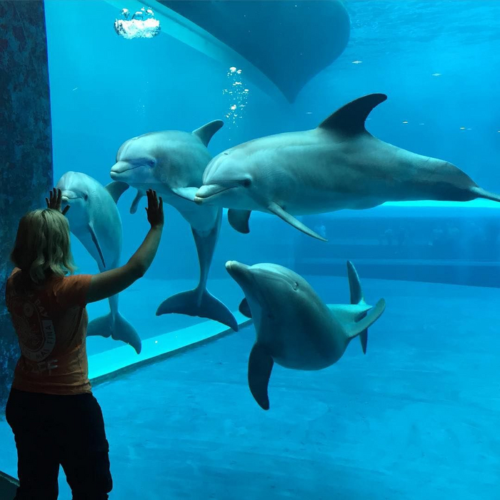 ���������� ������ �������� � ������ � ��������� ������� �������. ��������, ����� �� �������� ��������� � ���� �� �� �����.