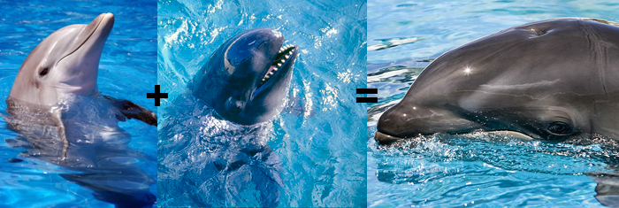 ������ ���, �������� � �������!