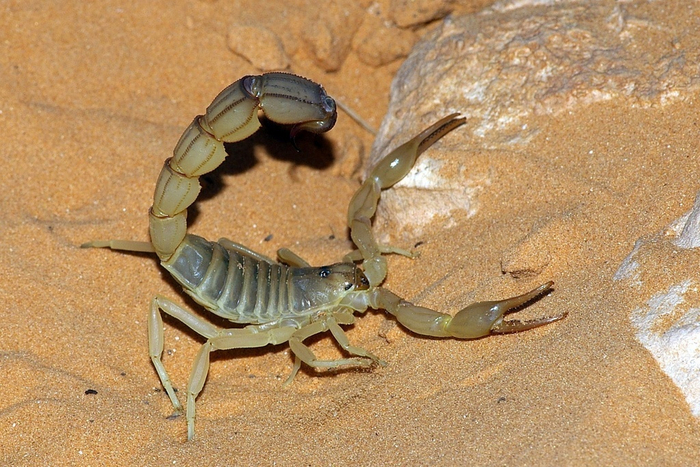  ,    !      ,      ! !