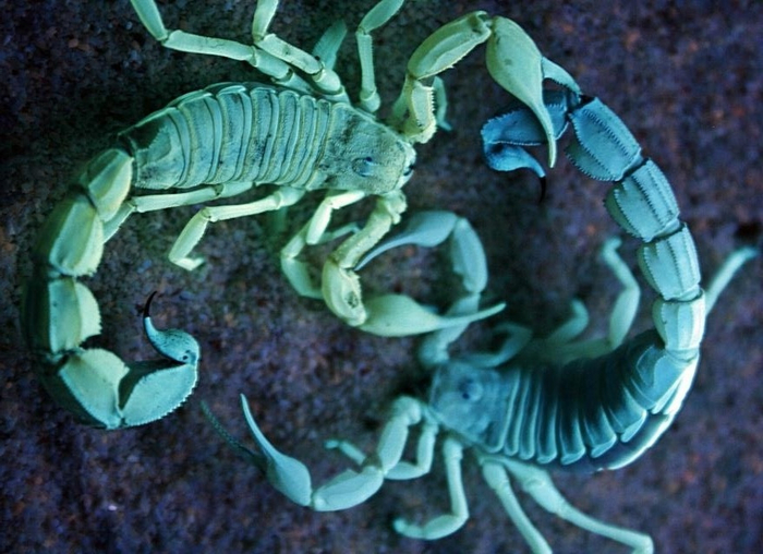      -.       .    . ,         .