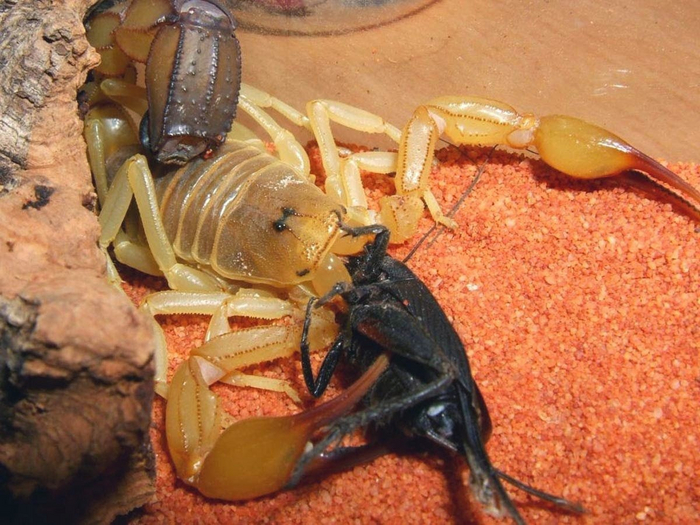 ,         ,         .