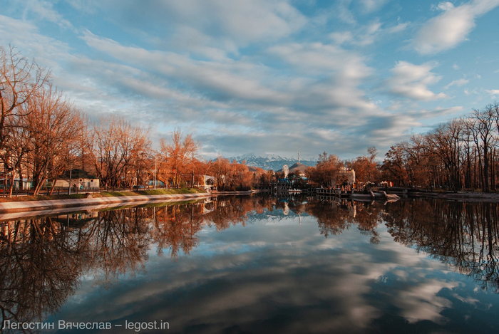 Нижнее озеро в центральном парке культуры и отдыха. 2013 год