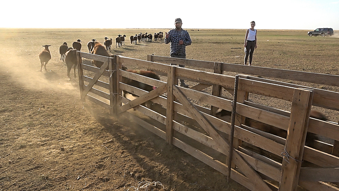 ���� ������� ������� �� �������������� "������������.��"