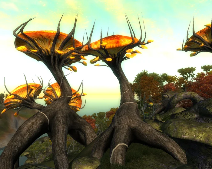 Mushrooms - Bethesda, The elder scrolls, The Elder Scrolls IV: Oblivion, Shivering Isles, Tamriel, RPG, Mushrooms, Nostalgia, Screenshot