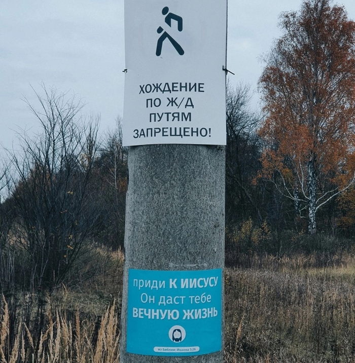 ���� ������