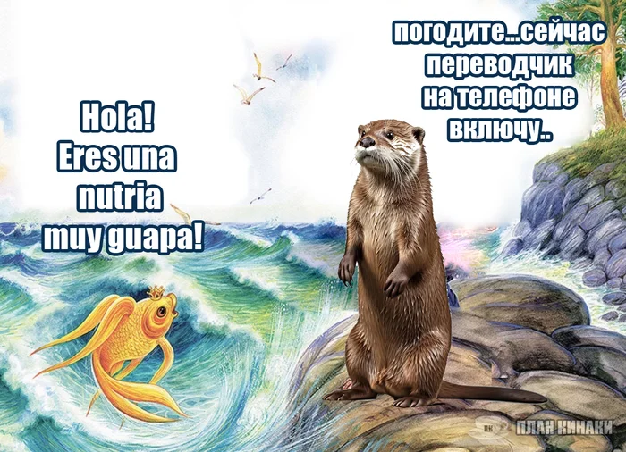 The Tale of the Fisherman and the Fish - My, Otter, Oriental Beskeet Otter, Memes, Picture with text, Animals, Comics, Story, Gold fish, Promo code, Wish, Fulfillment of desires, Alexander Sergeevich Pushkin, A fish, Fishing, Discounts, Longpost