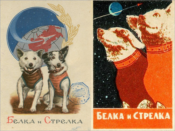 Источник оригинального изображения: <!--noindex--><a href="https://pikabu.ru/story/malenkie_tragedii_v_kosmose_istorii_zhivotnyikhkosmonavtov_11797530?u=https%3A%2F%2Fclck.ru%2F3DEGAX&t=https%3A%2F%2Fclck.ru%2F3DEGAX&h=a5708d41e9f8067c71292b4f94cf9ab488815dd0" title="https://clck.ru/3DEGAX" target="_blank" rel="nofollow noopener">https://clck.ru/3DEGAX</a><!--/noindex-->