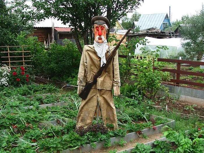 So this is what you are like, Grandfather Fir!!! - Humor, Images, The photo, Scarecrow, Dacha