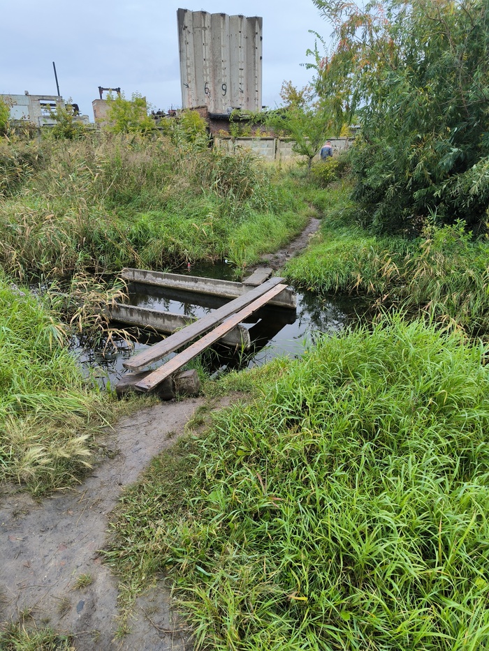 ��������� ����� ������� �������, ���� ������, ����� ������ � ��������.