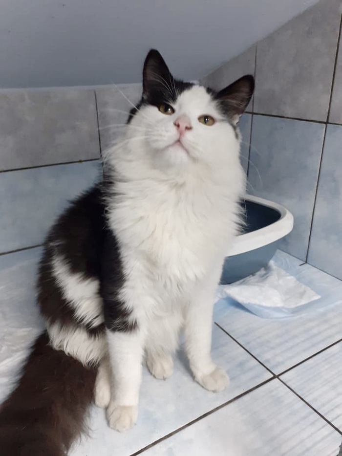 ����, ���� �� �������