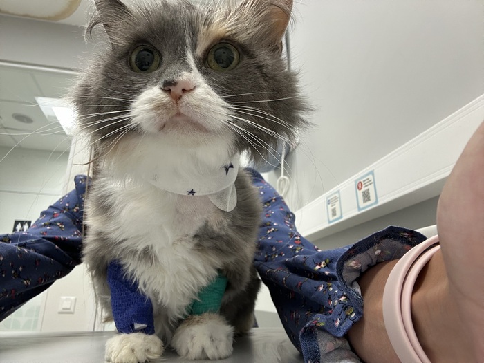 �� ��� ���������❤️